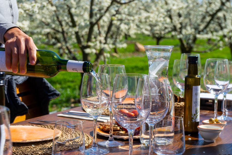 Mallorca: Full-Day Winery Small Group Tour - Palma Pickup and the 8-Hour Rhythm