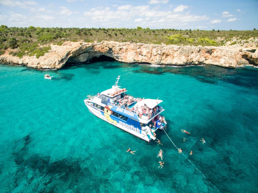 Mallorca: Glass-Bottom Catamaran Along the East Coast - Getting there and handling the logistics without stress