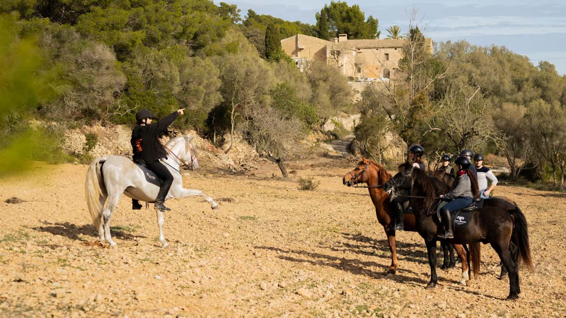 Mallorca: Guided Horseriding Tour of Randa Valley - Key things I think you’ll notice right away