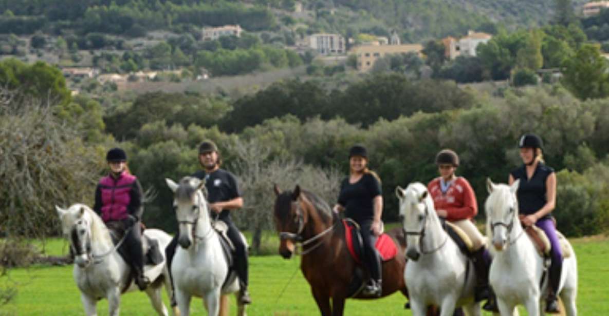 Mallorca: Guided Horseriding Tour of Randa Valley - Entering the saddle: how the tour starts at Mallorca Horses