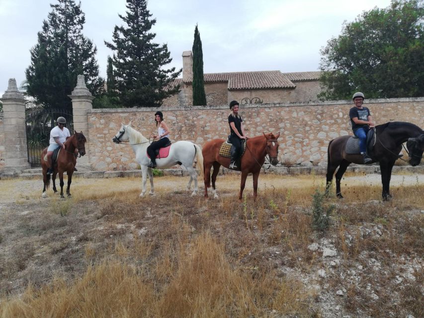 Mallorca: Guided Horseriding Tour of Randa Valley - The Randa Valley ride: what the 3 hours actually feel like