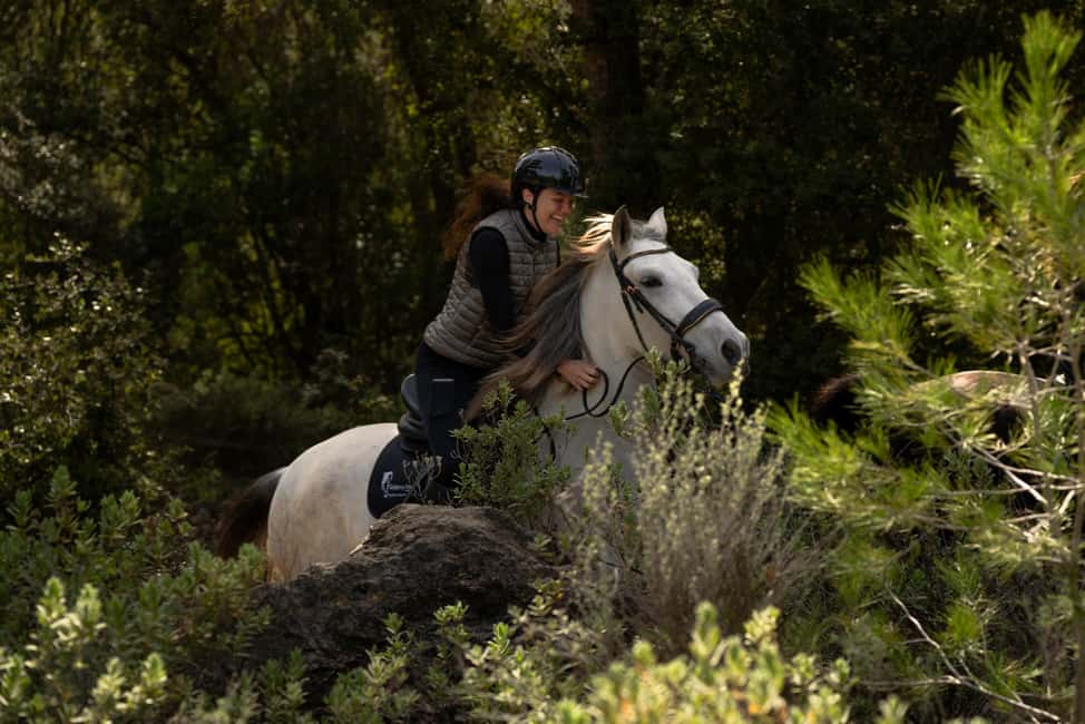 Mallorca: Guided Horseriding Tour of Randa Valley - After the ride: grooming, showering, and the calmer finish