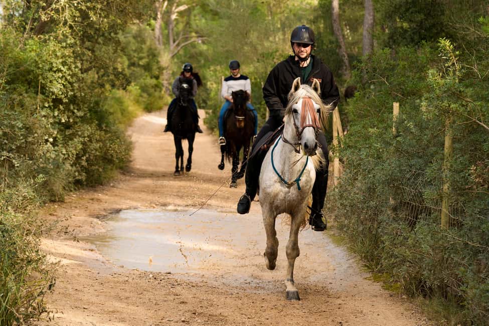 Mallorca: Guided Horseriding Tour of Randa Valley - Price and value: is $112 a fair deal?