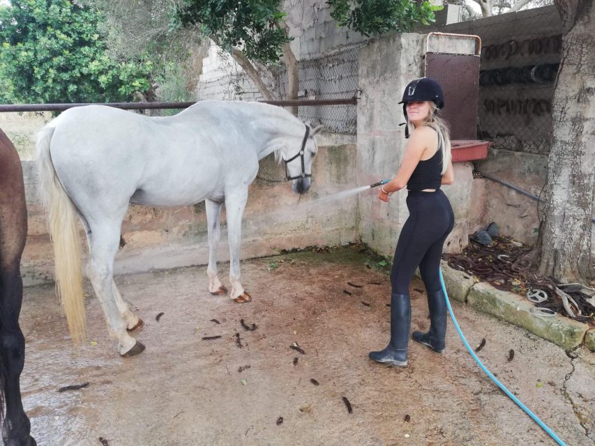 Mallorca: Guided Horseriding Tour of Randa Valley - Practical tips: how to show up ready to ride