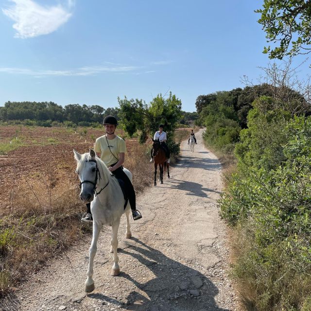 Mallorca: Guided Horseriding Tour of Randa Valley - Who should book this horse tour in Mallorca?