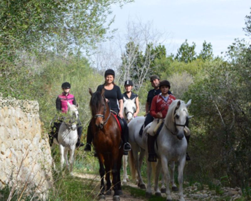 Mallorca: Guided Horseriding Tour of Randa Valley - Meeting the Andalusians: matching, grooming, and feeling in sync