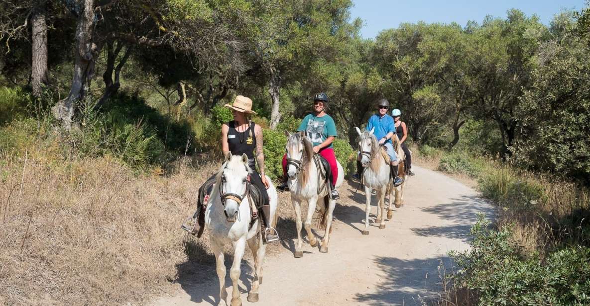 Mallorca: Horseback Riding Excursion and Wine Tasting - Key Points at a Glance