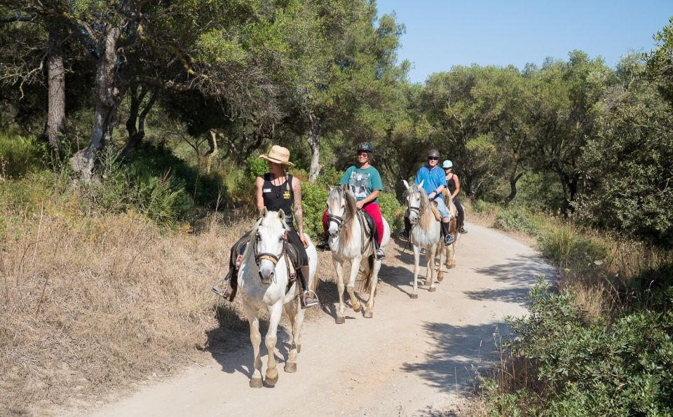 Mallorca: Horseback Riding Excursion and Wine Tasting - The One-Hour Hack: What the Trail Feels Like