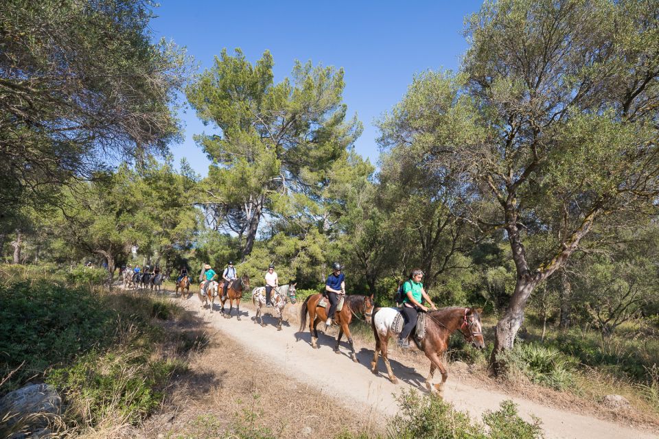 Mallorca: Horseback Riding Excursion and Wine Tasting - From Trail to Ranch: The Reset That Makes the Wine Taste Better