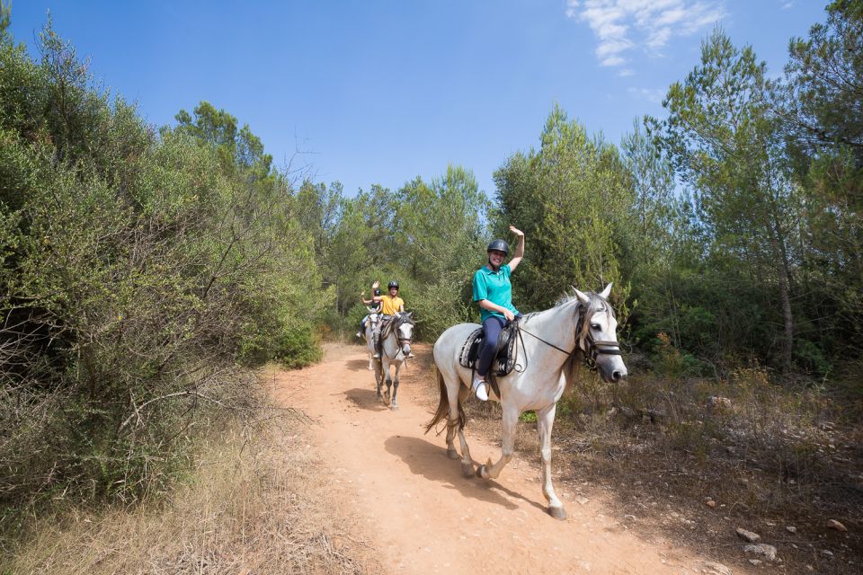 Mallorca: Horseback Riding Excursion and Wine Tasting - Value Check: Is $75 a Good Deal for Mallorca Riding Plus Tasting?