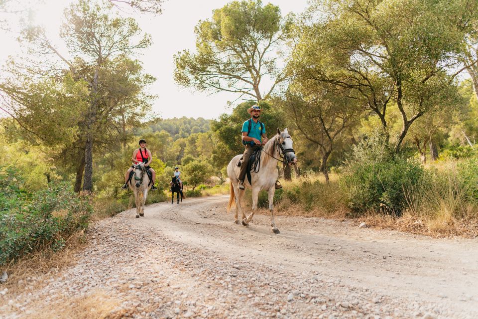 Mallorca: Horseback Riding Experience with Food Options - 1 hour vs 2 hours: choosing the right amount of Mallorca