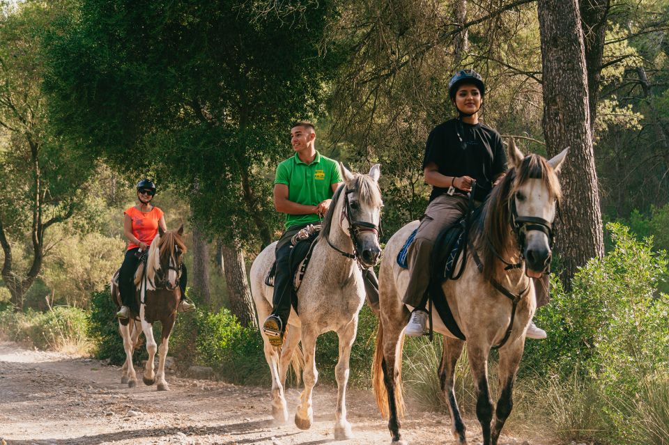 Mallorca: Horseback Riding Experience with Food Options - What pace you might ride: walking, trot, and canter chances