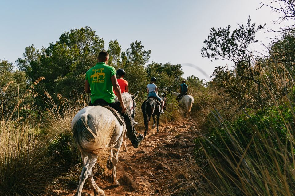 Mallorca: Horseback Riding Experience with Food Options - Food after the ride: Mallorcan brunch vs handmade burger lunch