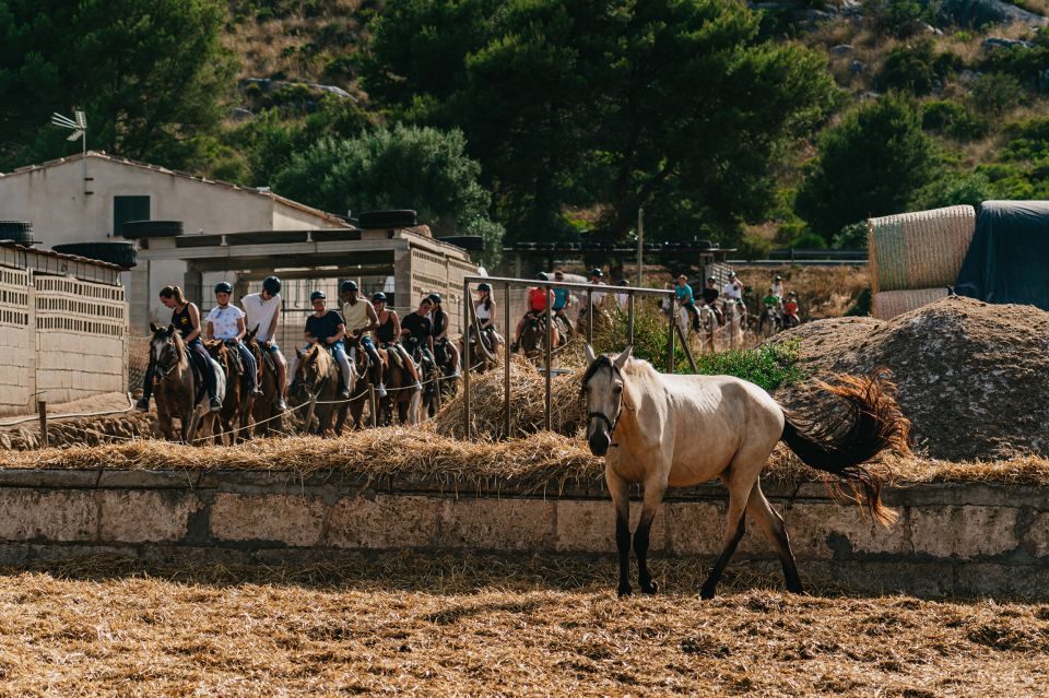 Mallorca: Horseback Riding Experience with Food Options - Photos as a souvenir: what to know