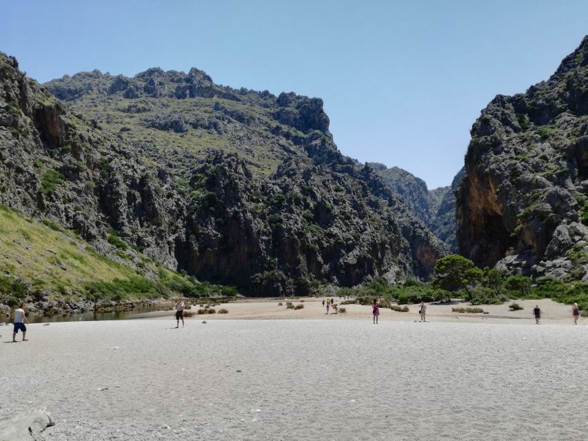 Mallorca: Island Tour with Boat, Train, and Hotel Transfer - Palma to Sóller by Vintage Train: The Classic Start