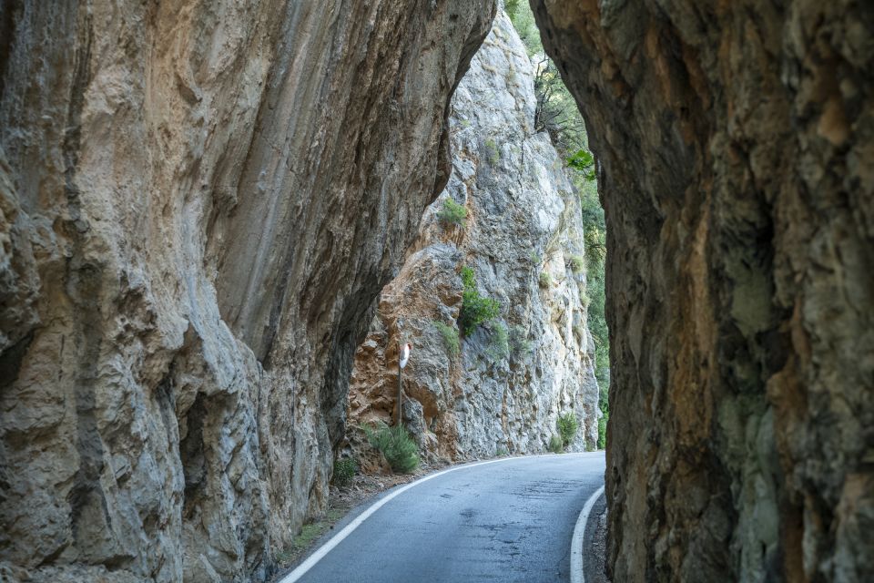 Mallorca: Island Tour with Boat, Tram & Train from the South - Timing, pace, and what to pack for comfort