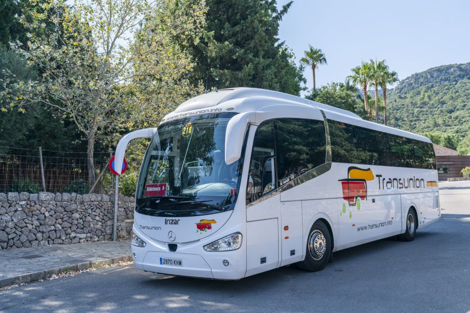 Mallorca: Island Tour with Boat, Tram & Train from the South - Sa Calobra and Torrent de Pareis: canyon walls, steps, and salt-air time