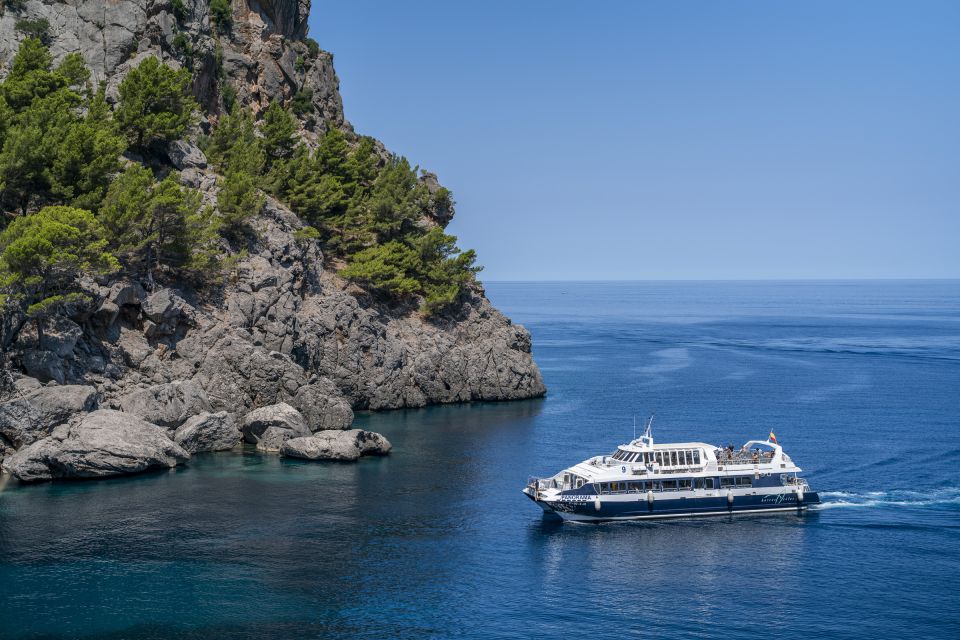 Mallorca: Island Tour with Boat, Tram & Train from the South - The wooden electric train back toward Palma: tunnels, lemon-and-olive views, and seat comfort