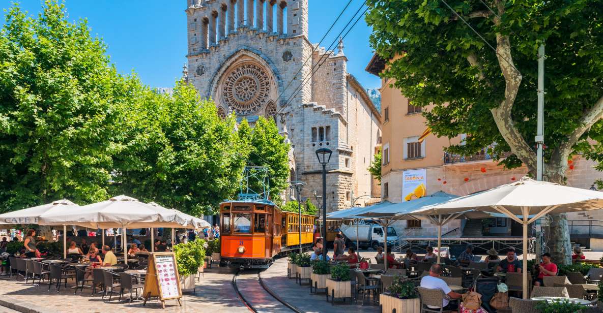 Mallorca: Island Tour with Boat, Tram & Train from the South - The bus drive into the Tramuntana: where the scenery earns the effort