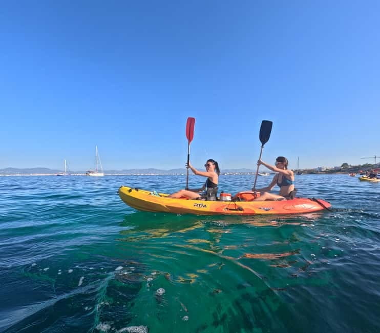 Mallorca: Kayak Rental - Kayak Rental Basics From Can Pastilla