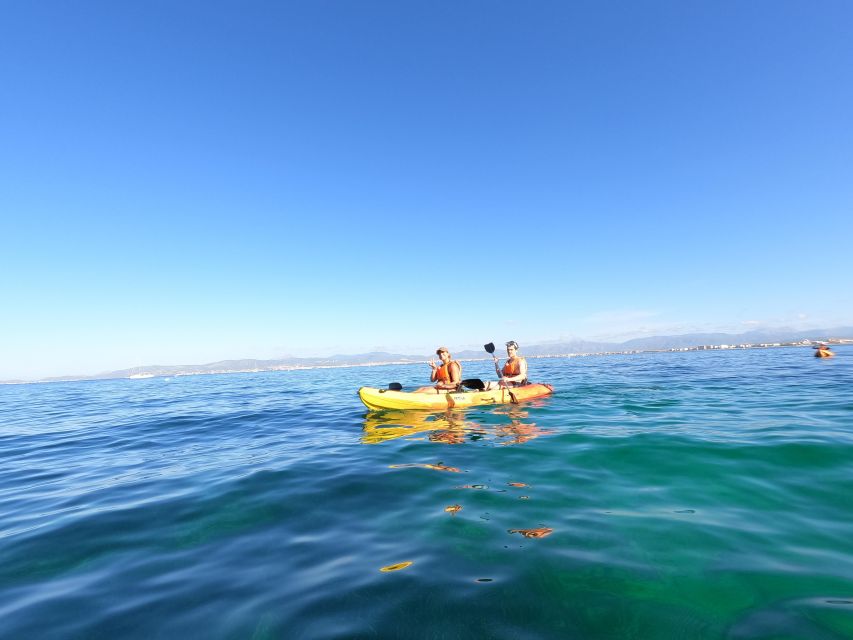 Mallorca: Kayak Rental - How Hard Is It? Pacing, Swimming Stops, and Non-Swimmer Limits