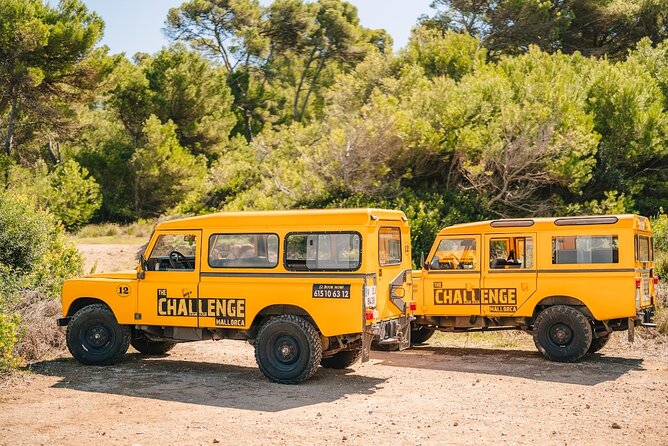 Mallorca: Kayaking, Sea Cave, Cliff Jumping & Snorkel Tour - The Mallorca Kayaking-and-Cave Adventure: What You’re Really Buying