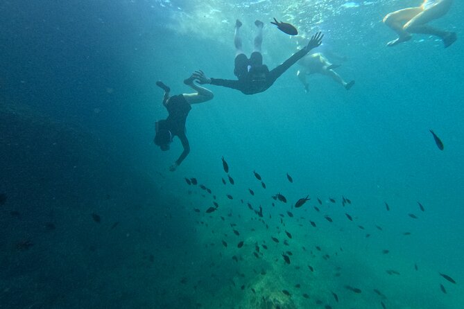Mallorca: Kayaking, Sea Cave, Cliff Jumping & Snorkel Tour - Picnic, Photos, and the Social Side of a Small-Group Adventure