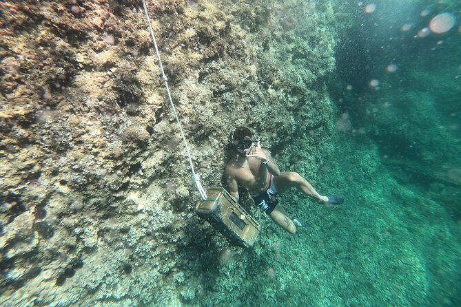 Mallorca: Kayaking, Sea Cave, Cliff Jumping & Snorkel Tour - Kayaking at La Victòria: the calm start that sets the pace