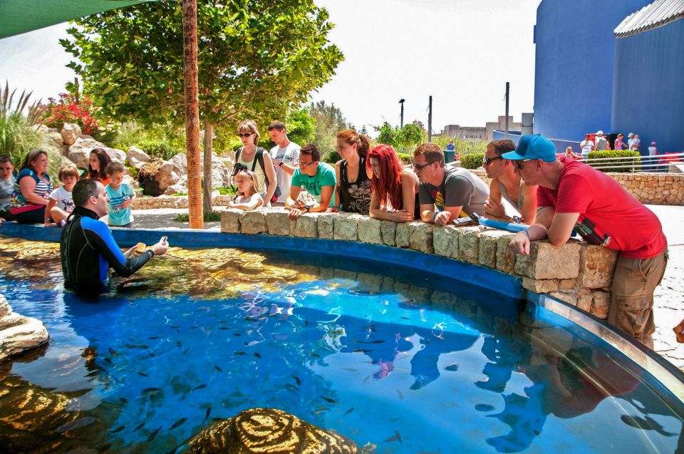 Mallorca: Palma Aquarium Entry Ticket w/ Optional 3D Cinema - Who Should Book This Experience (and Who Might Skip It)
