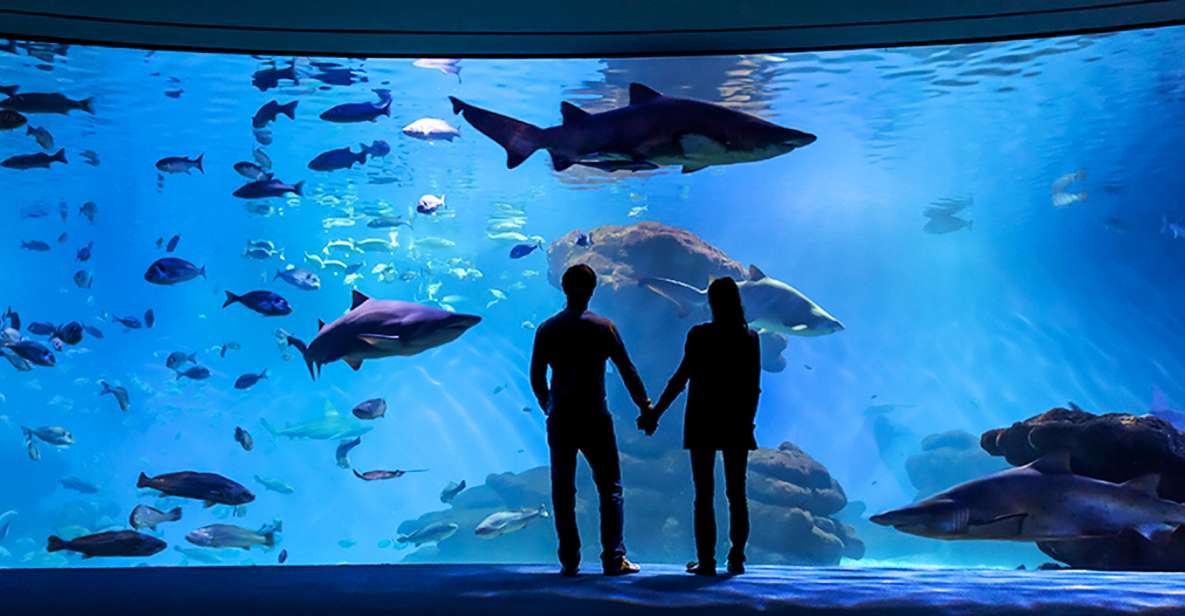 Mallorca: Palma Aquarium Entry Ticket w/ Optional 3D Cinema - Entering With Faster Access (and the Real Timing Tip)