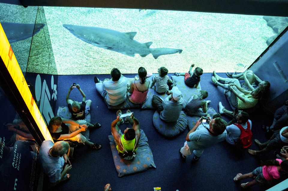 Mallorca: Palma Aquarium Entry Ticket w/ Optional 3D Cinema - Outdoor vs Indoor: Waterfalls, Rainforest Vibes, and Play That Helps