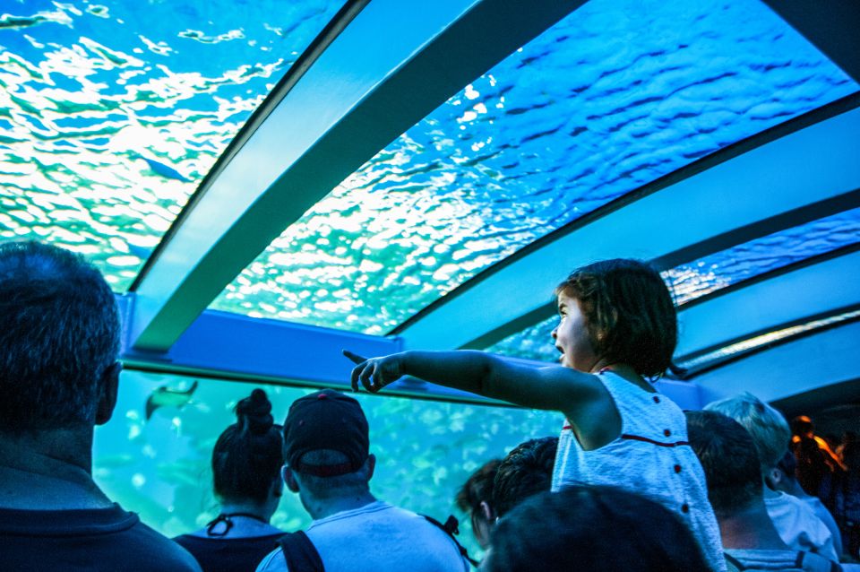 Mallorca: Palma Aquarium Entry Ticket w/ Optional 3D Cinema - 3D Cinema Aquadome Optional Add-On: Whale Virtual Swim