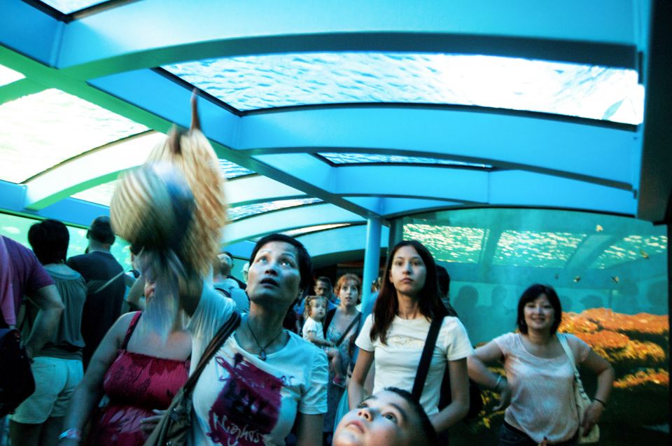 Mallorca: Palma Aquarium Entry Ticket w/ Optional 3D Cinema - Price and Value: Is $39 Worth It