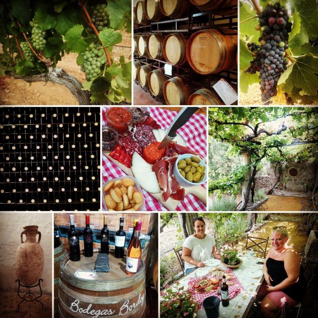 Mallorca: Private Wine Tour with Tasting and Picnic - Who This Tour Suits Best (and Who Should Skip It)