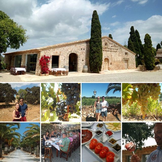 Mallorca: Private Wine Tour with Tasting and Picnic - Walking the Vineyard With a Winemaker, Not a Script