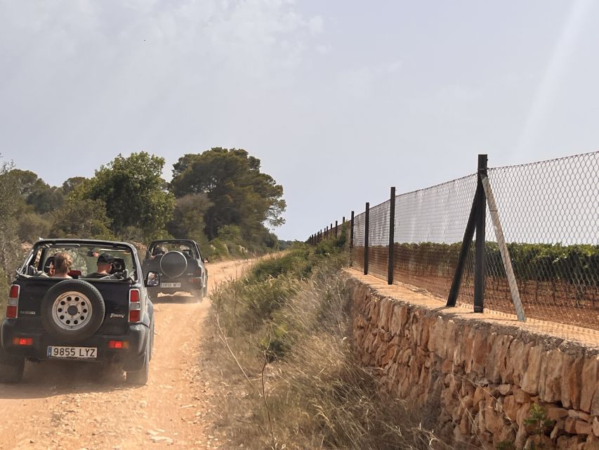 Mallorca: Self Drive 4x4 Jeepsafari Tour - Meeting at La Terraza: how to find your start point quickly