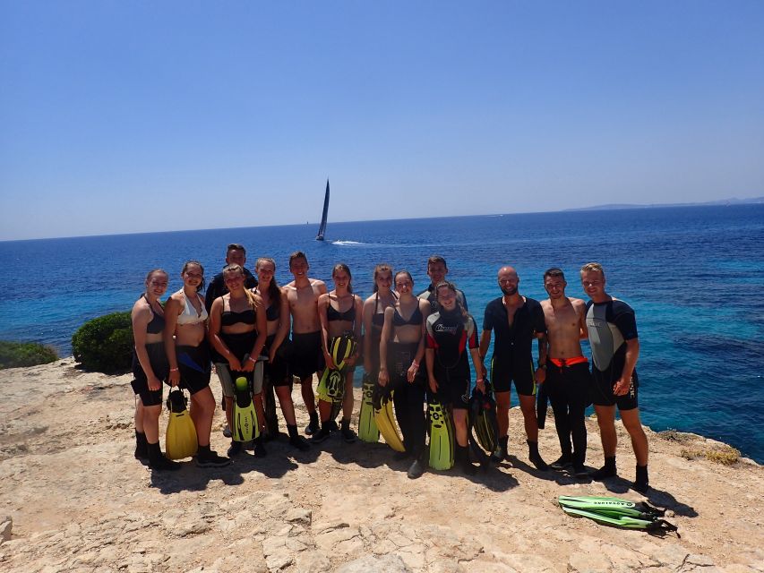 Mallorca: Snorkeling in a Beautiful Nature Reserve - Underwater Highlights: The Mediterranean Life You’re Likely to See