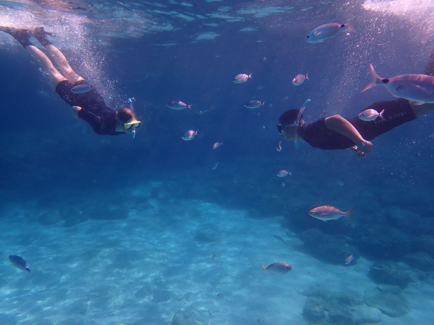 Mallorca: Snorkeling in a Beautiful Nature Reserve - Meeting Points and Getting There: Avoid the Early-Departure Trap