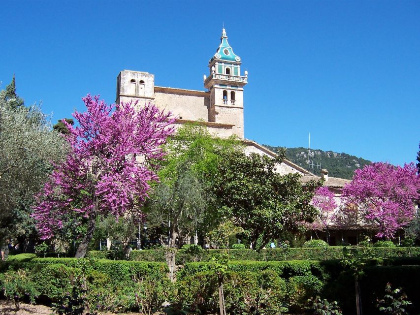 Mallorca: Soller Port and Valldemossa - Getting to the Tour: Southern Mallorca Pickup Points and Timing