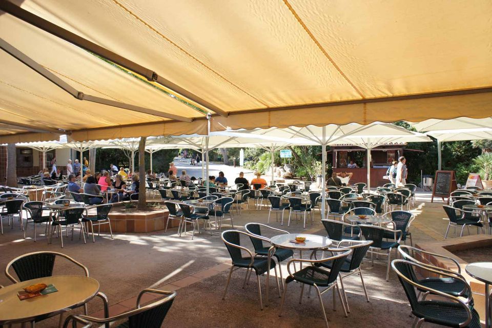 Mallorca: Ticket for Caves of Drach with Pickup Service - Who This Tour Is Best For (and Who Should Skip It)