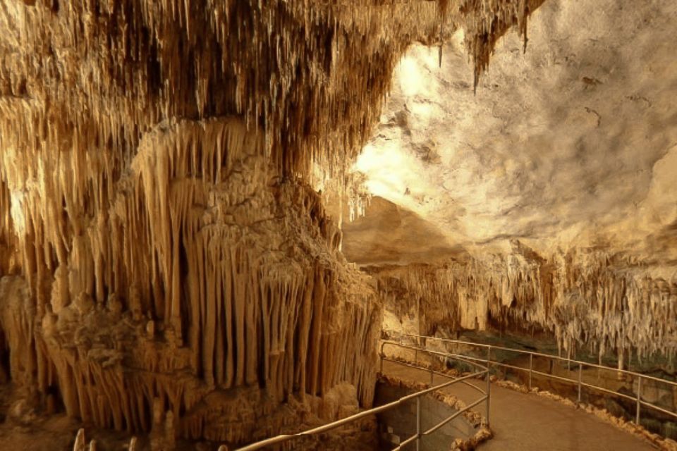 Mallorca: Ticket for Caves of Drach with Pickup Service - 121 Steps Down: Self-Guided Cave Time with QR Brochure