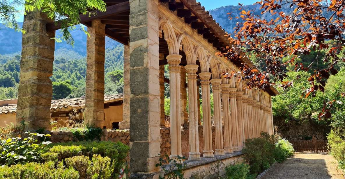 Mallorca: Tramuntana Mountains Tour with Local Guide & Lunch - Serra de Tramuntana feels closer when you’re not on a giant bus