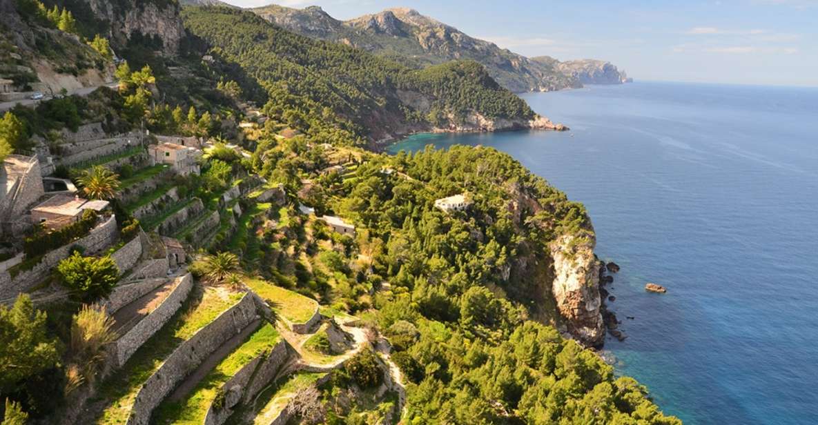 Mallorca: Valldemossa & Soller Tour - Getting There: Palma Meeting Point and Hotel Pickup Reality