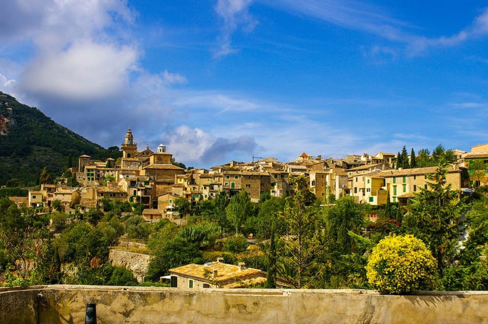 Mallorca: Valldemossa & Soller Tour - Price and Value: What You’re Paying For (and What You Aren’t)