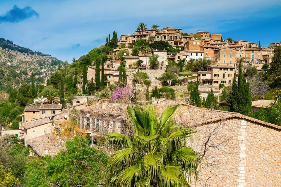 Mallorca: Valldemossa & Soller Tour - Who This Tour Fits Best (and Who Might Prefer Another Plan)