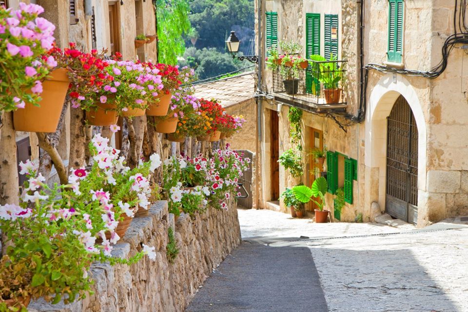 Mallorca: Valldemossa & Soller Tour - West Coast Cliffs and the Sa Foradada Photo Stop