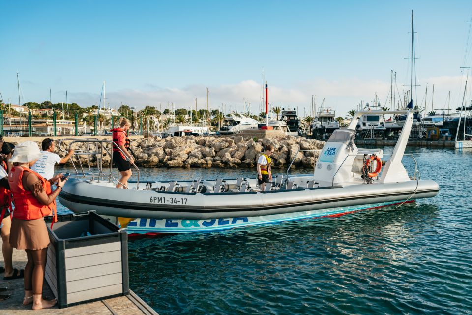 Palma Bay: 1-Hour Speedboat Adventure - Rules That Affect Your Day: What You Can and Can’t Bring