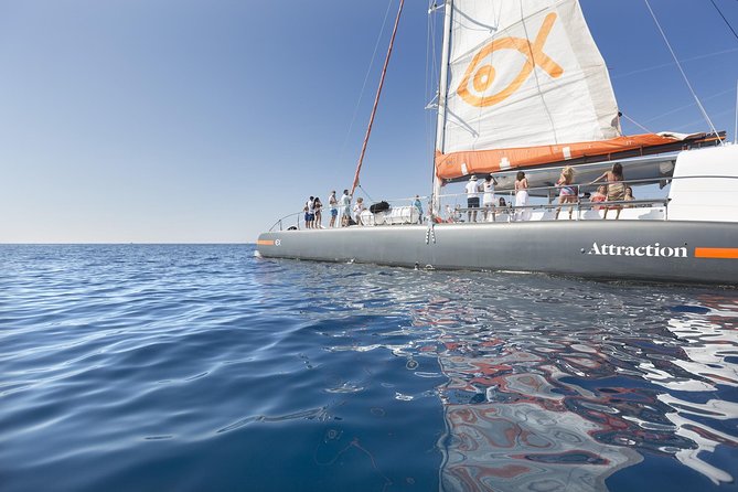 Palma Bay Catamaran Half-Day Cruise - Lunch Buffet on a Shared Boat: What the Food Time Really Feels Like