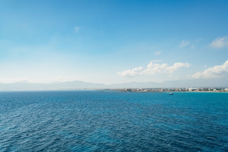 Palma Bay: Parasailing Experience - Price and Value: Is $77 for Palma Bay Worth It?