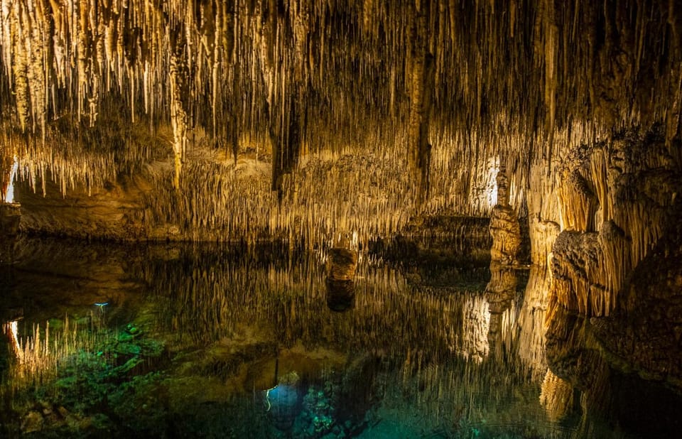 Palma: Caves of Drach Entrance, Music Concert, and Boat Trip - My practical tips so the day goes smoothly
